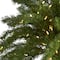 7ft. Pre-Lit Christmas Palm Tree, Warm White LED Lights
